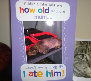 card