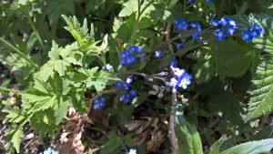 WP_20160515_11_43_43_Rich